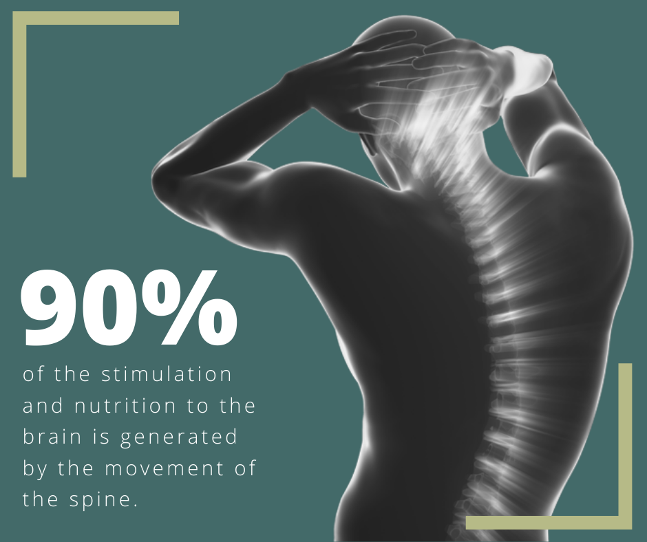 Movement of the Spine