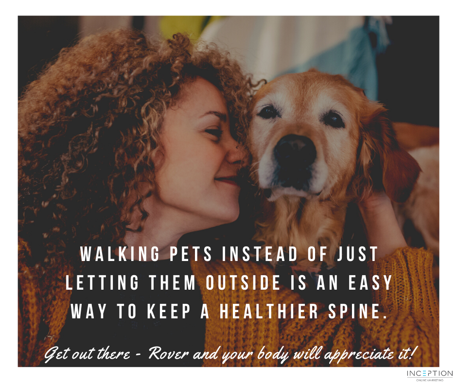 Walking with your pet