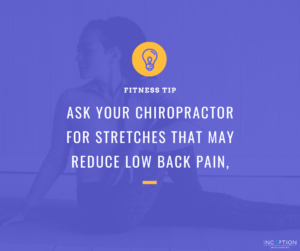 Stretches for Low Back