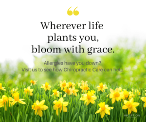 Bloom With Grace