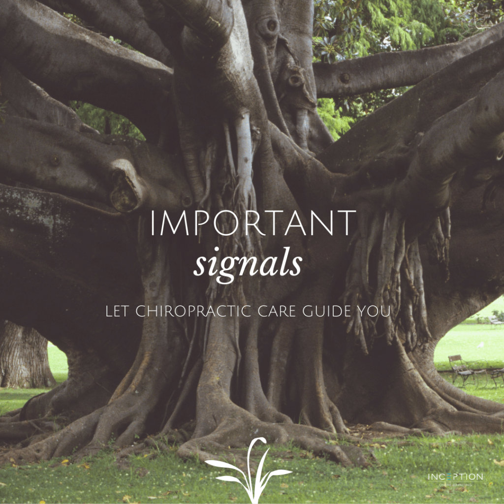 Pain Is An Important Signal Newsletter