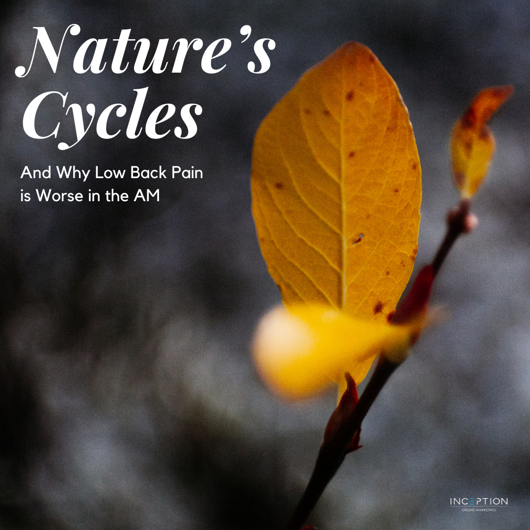 Nature’s Cycles - Newsletter